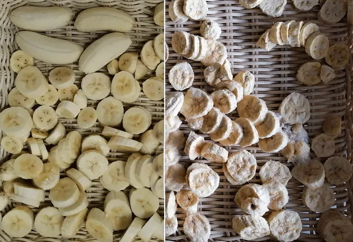 banana chips drying