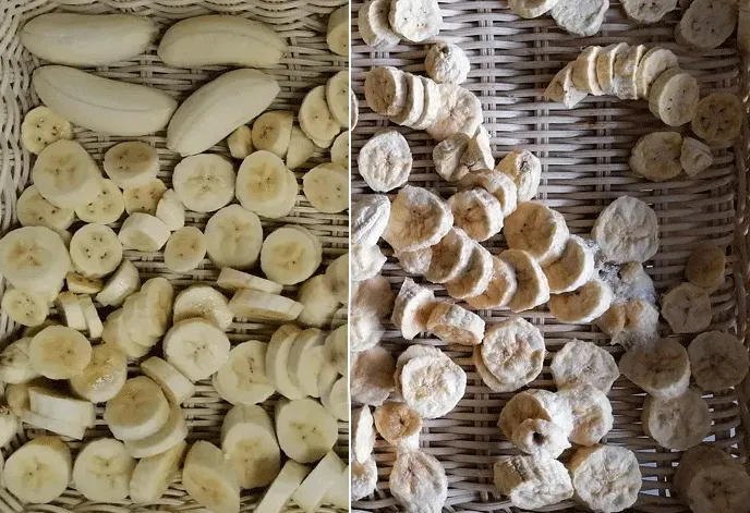 banana chips drying