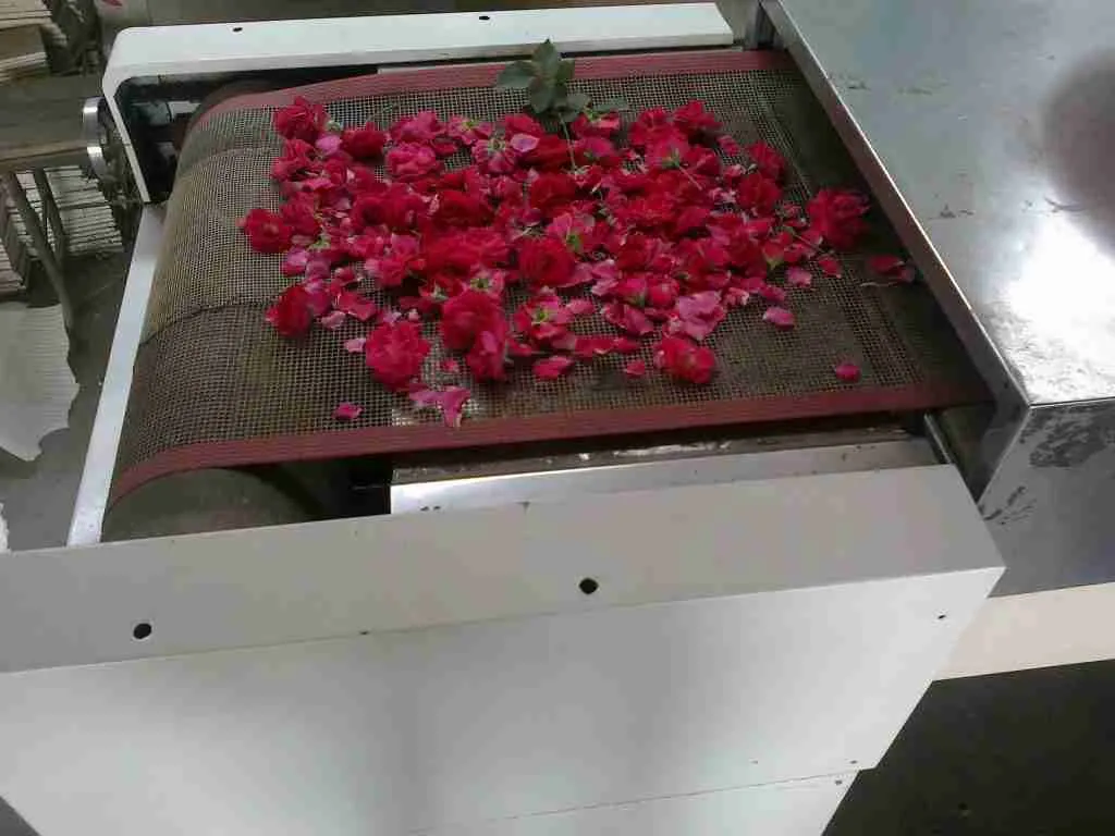 flower drying